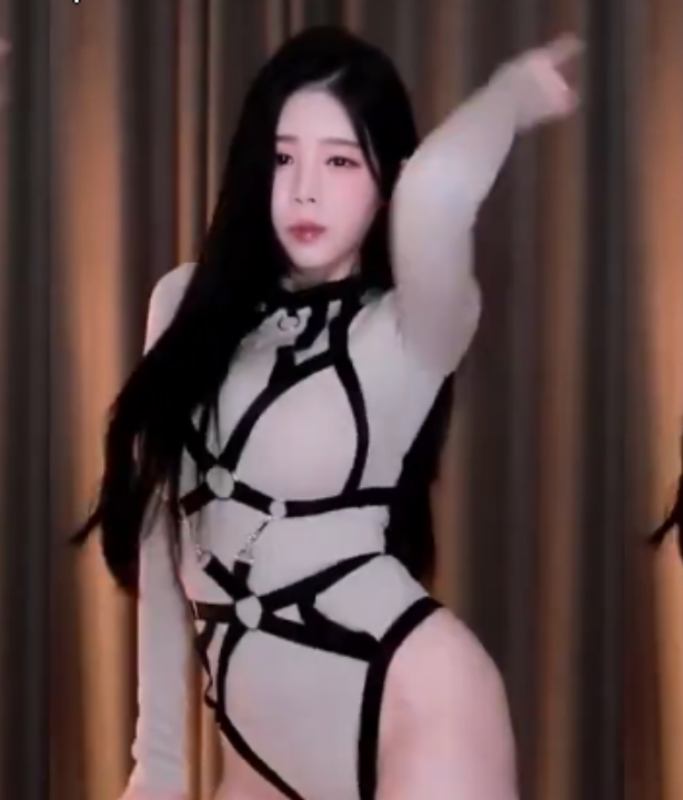 限量发售超清无水印直播热舞合集，268V+52G，自行打包！