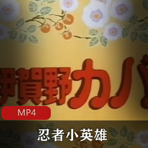 推荐日本动画《忍者小英雄》珍贵资源全集