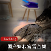 宫雪双洞风油精虐阴合集：13个视频3.86GB，抖M作品