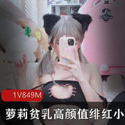 绯红小猫：高颜值美少女，诱惑腮红cos视频849M