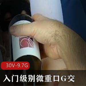 P站MsFine微口味重G交洋马小扩大30V-9.7G视频资源合集