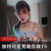 神秘男娘TS精品视频合集471V4.3G，推特上的可爱伪娘