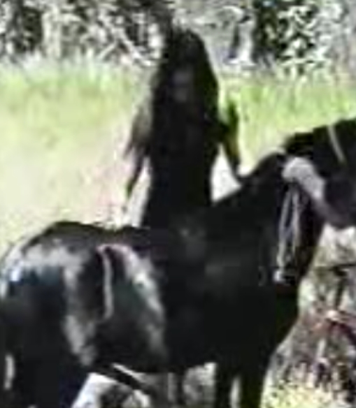 你畅享了一场视觉盛宴。马合集打包了127个视频，大小共27G，免费价分享给大家。视频包含了360到720P的各种分辨率，解压密码为打包证明。这是一次难得的机会，不要错过！