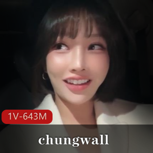 泡菜国前女团成员chungwall自拍视频合集[22V5.7G]：新旧套路作品，小姐姐码车衣棒棒糖下水道，观看车灯画面