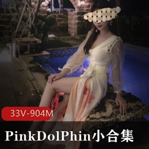 某推PinkDolPhin优质身材美女小合集33部904M，马甲线显著