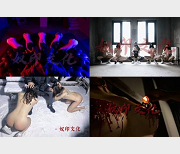 推特奴印文化SM作品51部1.2G硬核给作