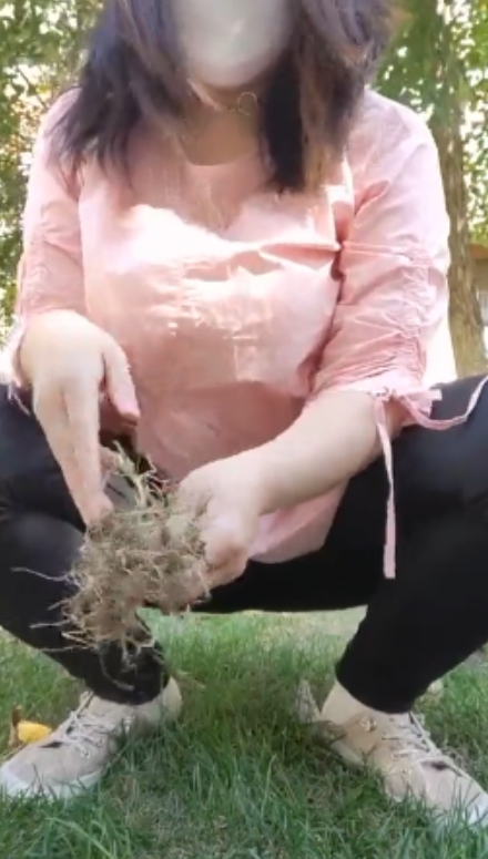 柏欣彤广场舞合集快手57G50部超诱人